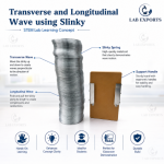 Transverse and Longitudinal Wave Model